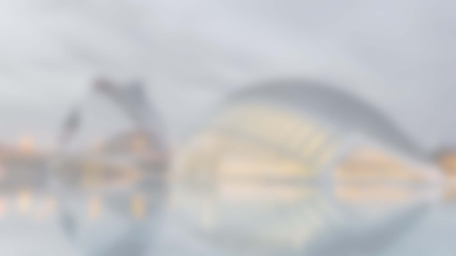 blurbg1.jpg